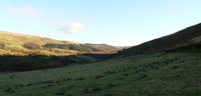 Woodlands Valley Woodlands Valley